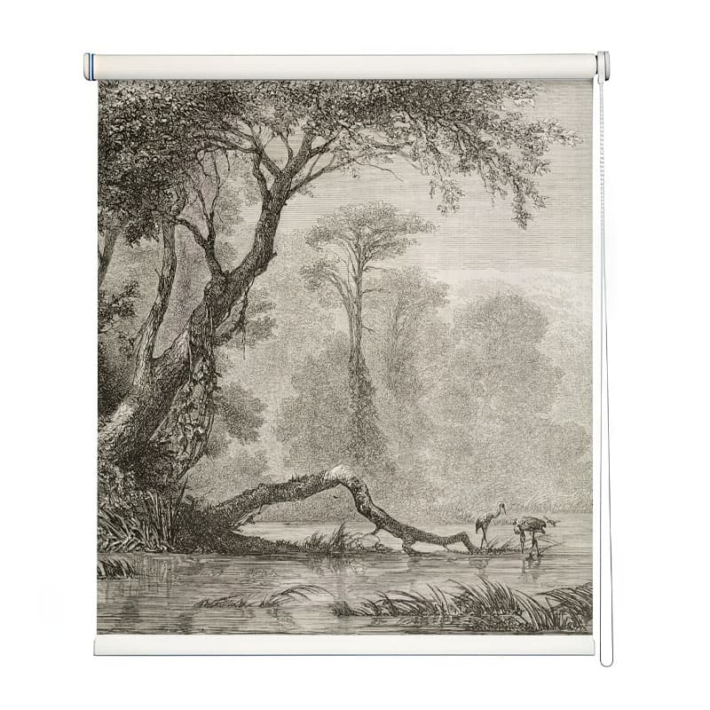 Tranquil Forest Sketch Roller Blind shown in a room