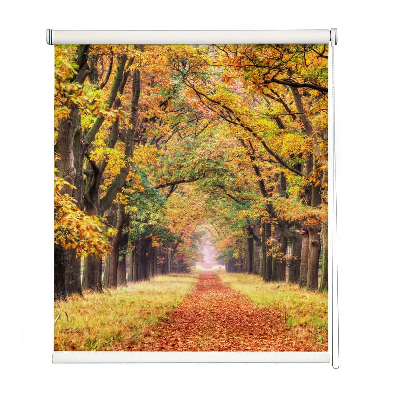 Vibrant Autumn Pathway Window Roller Blind shown in a room