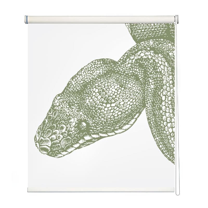 Sage Green Snake Head Illustration Roller Blind shown in a room