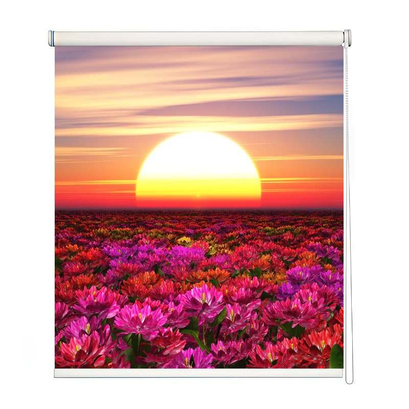 Vibrant Floral Meadow Window Roller Blind shown in a room