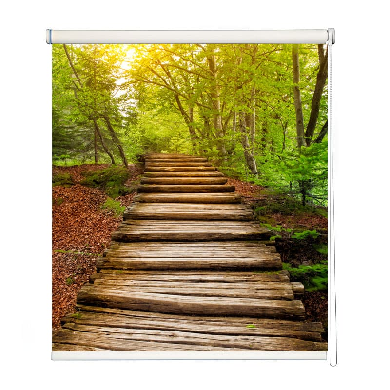Enchanted Forest Path Roller Blind shown in a room