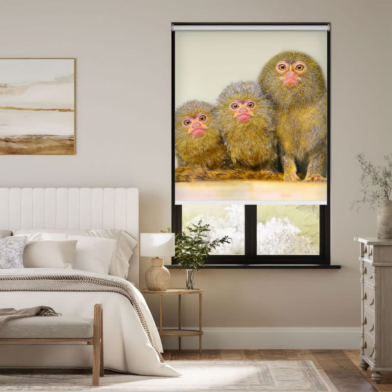 Exotic Marmoset Portrait Roller Blind pattern detail