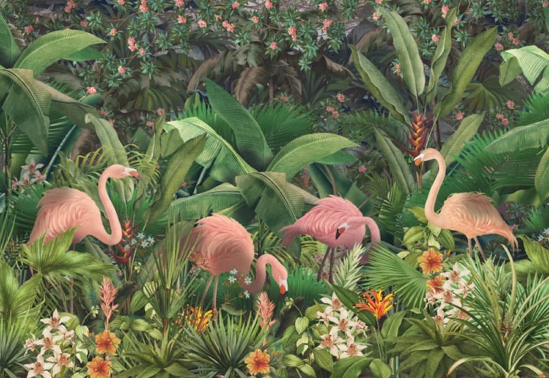 Aesthetic Pink Flamingo Nature Wallpaper pattern detail