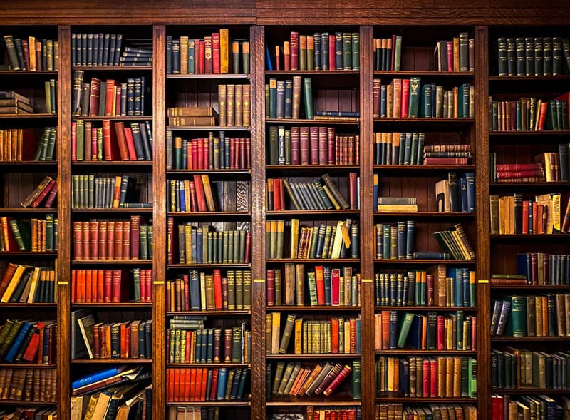Pushtkalay Vintage Study Bookshelf Wall Mural Wallpaper pattern detail