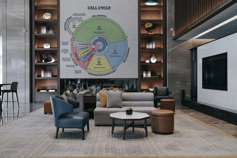 Educational Cell Cycle Diagram Wallpaper shown in a room