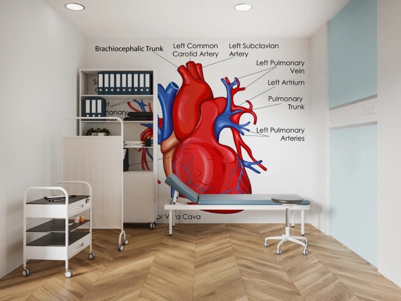 Educational Human Heart Diagram Wallpaper shown in a room