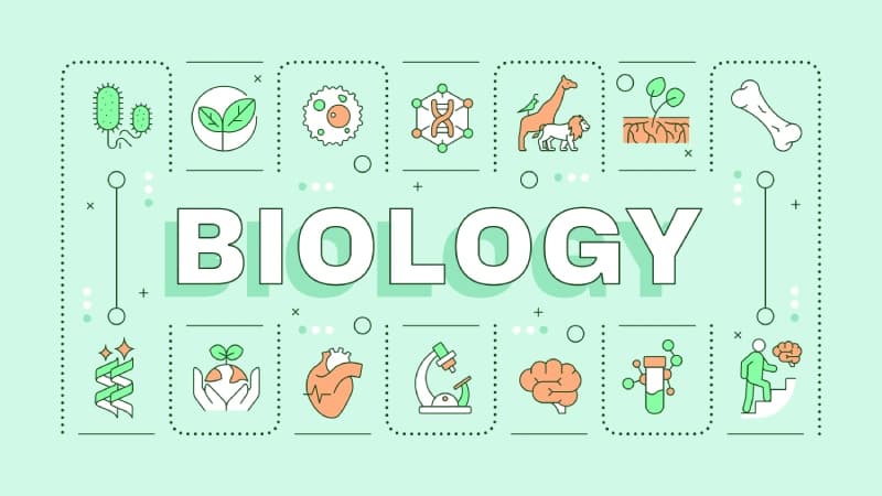 Modern Biology Education Wallpaper pattern detail