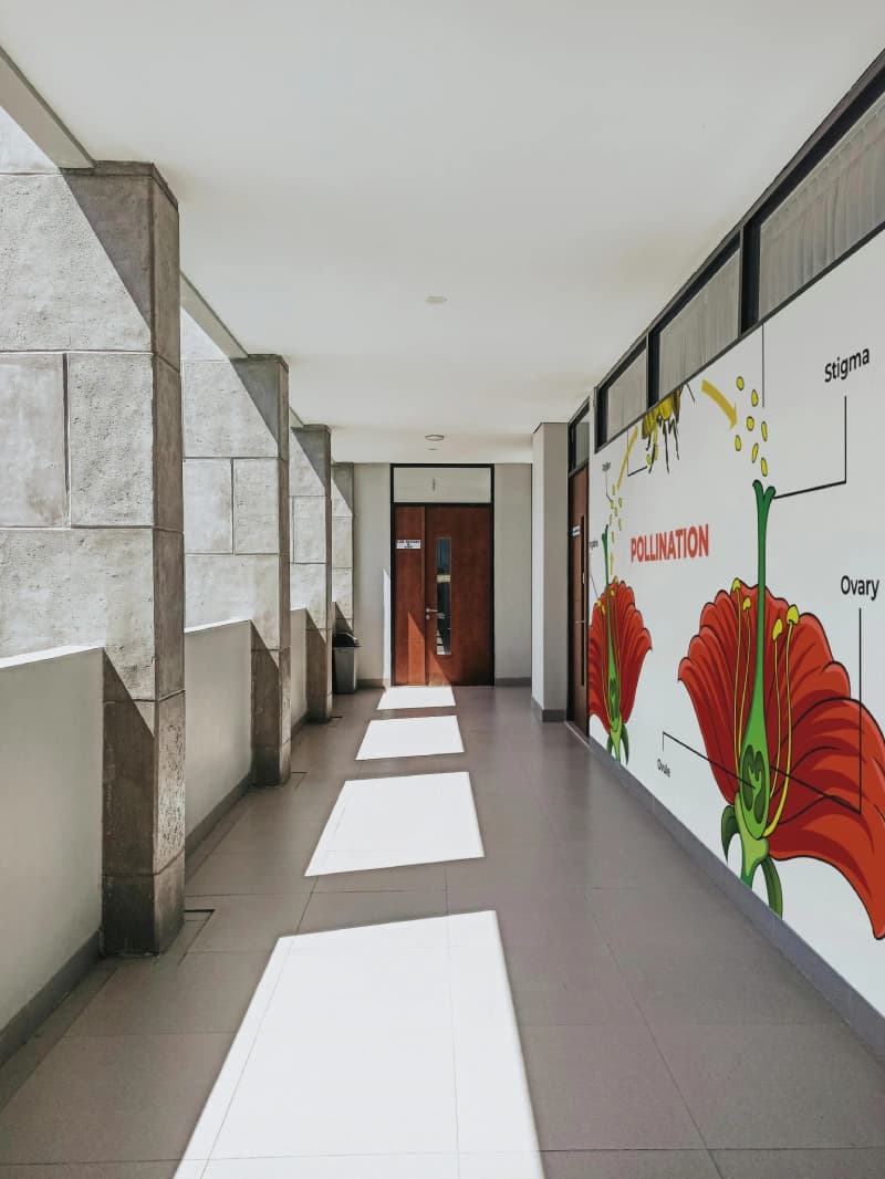 Pollination Process Educational Wallpaper shown in a room