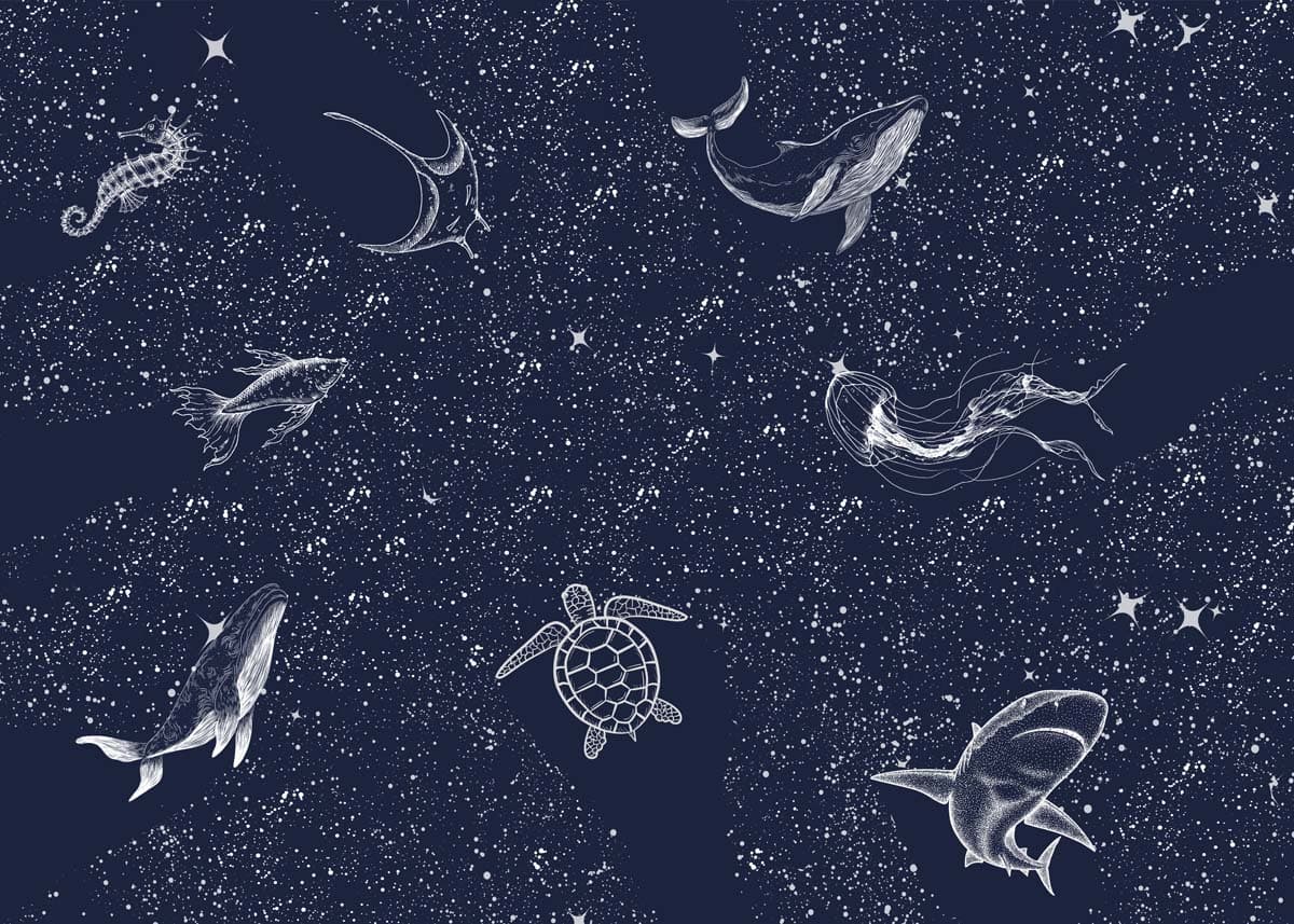Starfield, White Line Sea Creatures Mural pattern detail