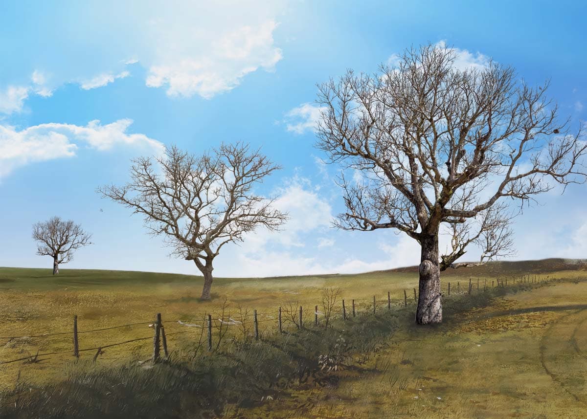 Horizon, Rural Dry Season Scape Wallpaper Mural pattern detail