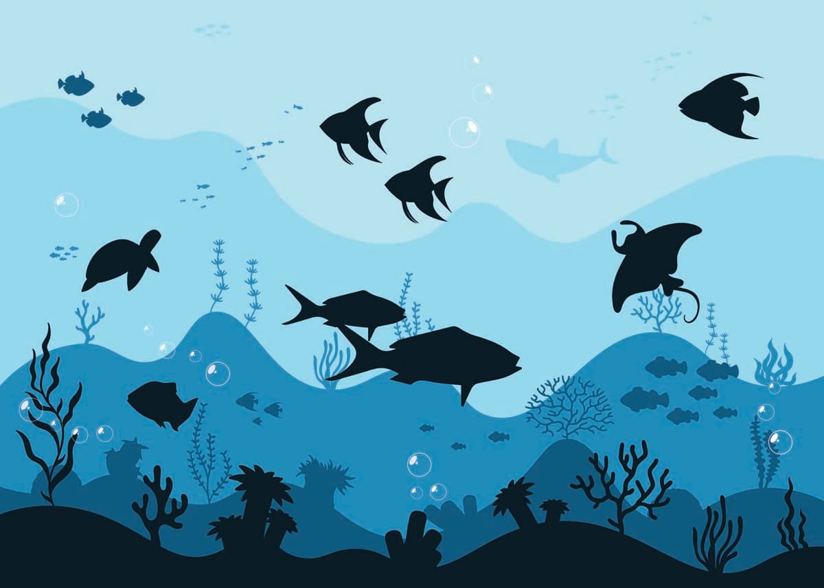 Aqualune, Ocean Whimsy Wallpaper Mural pattern detail